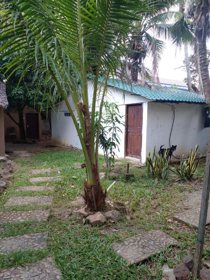 نزل كامبوتفي The Plantation المظهر الخارجي الصورة